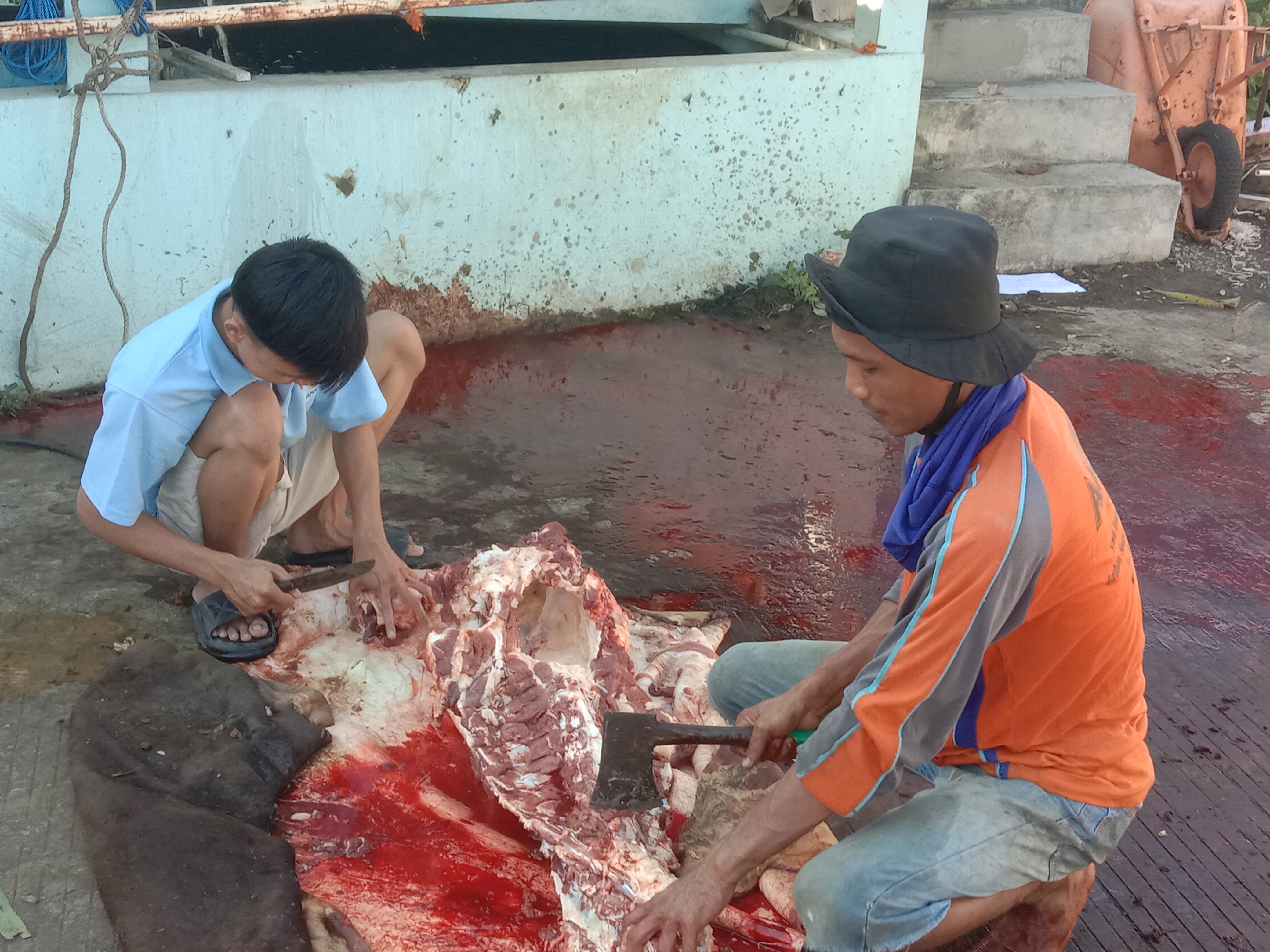 Dokumentasi Survei 1