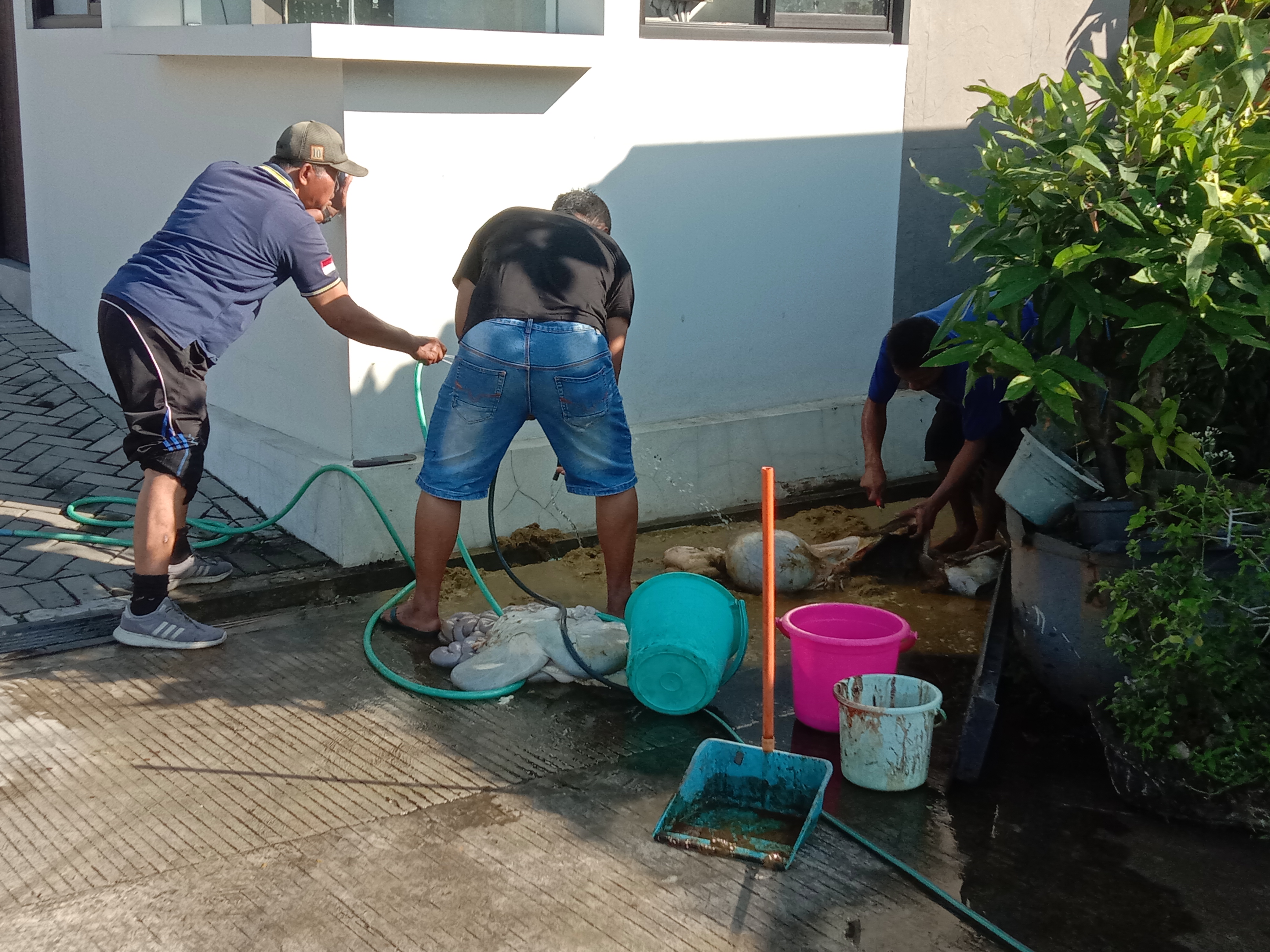 Dokumentasi Survei 2